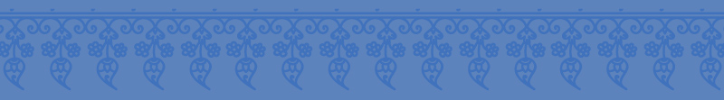 Ruchika footer